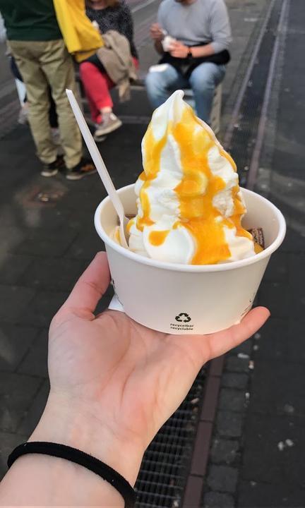 Shiyogu Frozen Yogurt